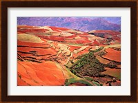 China, Yunnan, Tilled Red Laterite, Agriculture Fine Art Print