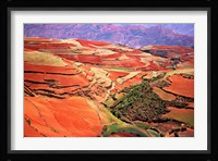 China, Yunnan, Tilled Red Laterite, Agriculture Fine Art Print