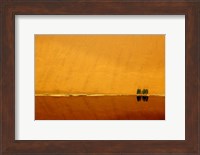 Desert reflection. Badain Jaran Desert, Inner Mongolia, China. Fine Art Print