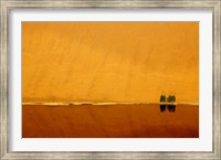 Desert reflection. Badain Jaran Desert, Inner Mongolia, China. Fine Art Print