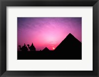 Colorful Sunset Silhouetting Men and Camels at the Great Pyramids of Giza, Egypt Fine Art Print