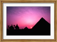Colorful Sunset Silhouetting Men and Camels at the Great Pyramids of Giza, Egypt Fine Art Print