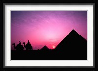 Colorful Sunset Silhouetting Men and Camels at the Great Pyramids of Giza, Egypt Fine Art Print