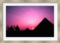 Colorful Sunset Silhouetting Men and Camels at the Great Pyramids of Giza, Egypt Fine Art Print