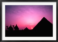 Colorful Sunset Silhouetting Men and Camels at the Great Pyramids of Giza, Egypt Fine Art Print