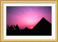 Colorful Sunset Silhouetting Men and Camels at the Great Pyramids of Giza, Egypt Fine Art Print