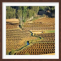 Afghanistan, Bamian Valley, Farmland and irrigation Fine Art Print