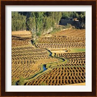 Afghanistan, Bamian Valley, Farmland and irrigation Fine Art Print