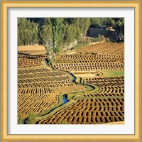 Afghanistan, Bamian Valley, Farmland and irrigation Fine Art Print