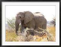 African Elephant and Zebra at Namutoni Resort, Namibia Fine Art Print