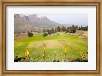 Amiwalka, Semien Mountains National Park, Ethiopia Fine Art Print