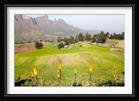 Amiwalka, Semien Mountains National Park, Ethiopia Fine Art Print