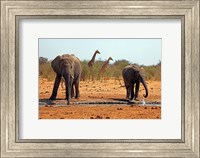 Elephants and giraffes, Etosha, Namibia Fine Art Print