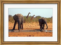 Elephants and giraffes, Etosha, Namibia Fine Art Print