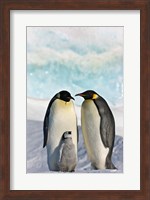 Three Emperor Penguin, Snow Hill Island, Antarctica Fine Art Print