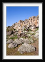 Everlasting Flowers, Helichrysum, Denka valley, Bale Mountains, Ethiopia Fine Art Print