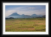 Farmland around Kisoro, Kigezi, Africa Fine Art Print