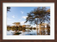 Flooded shoreline, Lake Naivasha, Crescent Island Game Park, Kenya Fine Art Print