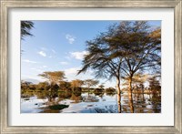 Flooded shoreline, Lake Naivasha, Crescent Island Game Park, Kenya Fine Art Print