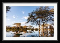 Flooded shoreline, Lake Naivasha, Crescent Island Game Park, Kenya Fine Art Print