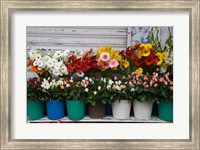 Flower Market, Port Louis, Mauritius Fine Art Print
