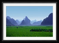 Farmland with the famous limestone mountains of Guilin, Guangxi Province, China Fine Art Print
