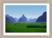 Farmland with the famous limestone mountains of Guilin, Guangxi Province, China Fine Art Print