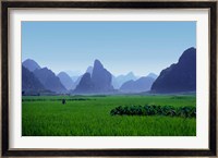 Farmland with the famous limestone mountains of Guilin, Guangxi Province, China Fine Art Print