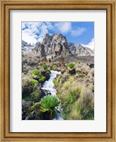 Central Mount Kenya National Park, Kenya Fine Art Print