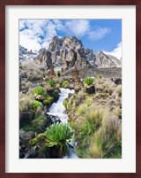 Central Mount Kenya National Park, Kenya Fine Art Print