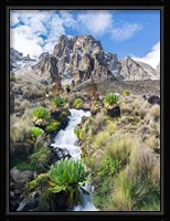 Central Mount Kenya National Park, Kenya Fine Art Print