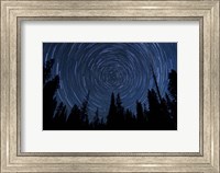 Star trails and a meteor above pine trees in Lassen Volcanic National Park Fine Art Print