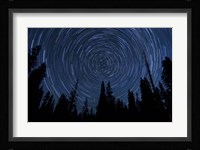 Star trails and a meteor above pine trees in Lassen Volcanic National Park Fine Art Print