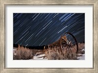 Abandoned farm equipment against a backdrop of star trails Fine Art Print