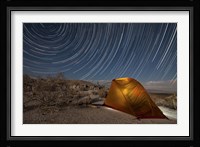 Star trails above a campsite in Anza Borrego Desert State Park, California Fine Art Print