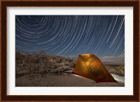 Star trails above a campsite in Anza Borrego Desert State Park, California Fine Art Print