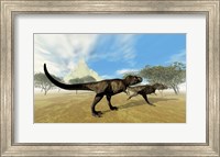 Two Tyrannosaurus Rex dinosaurs are on the hunt for prey Fine Art Print