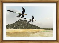 Two Microraptor dinosaurs fly over a wetland marsh in prehistoric times Fine Art Print