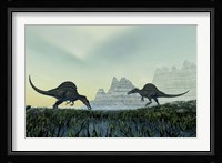 Spinosaurus dinosaurs drink from a marsh area in prehistoric times Fine Art Print
