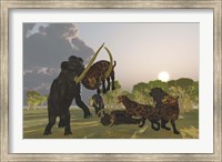 A pack of Saber Tooth Cats attack a small Woolly Mammoth Fine Art Print