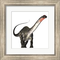 The Apatosaurus dinosaur was a herbivore of the Jurassic Era Fine Art Print