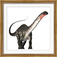 The Apatosaurus dinosaur was a herbivore of the Jurassic Era Fine Art Print