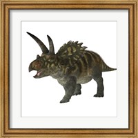Coahuilaceratops dinosaur Fine Art Print