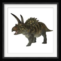 Coahuilaceratops dinosaur Framed Print