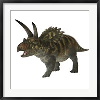 Coahuilaceratops dinosaur Framed Print