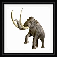 The Columbian Mammoth Framed Print