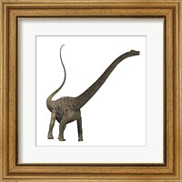 Diplodocus dinosaur Fine Art Print