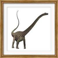 Diplodocus dinosaur Fine Art Print