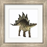 Stegosaurus dinosaur Fine Art Print