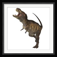 Tyrannosaurus Rex Framed Print